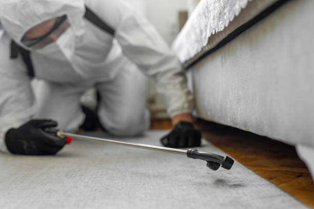 Professional Termite Control technician working in Massillon, OH