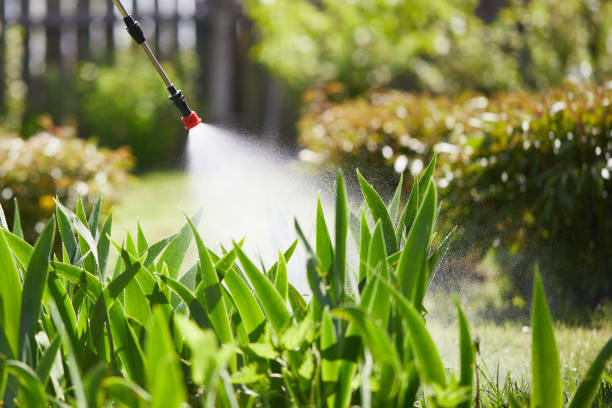 24/7 Emergency Termite Control experts in Massillon, OH