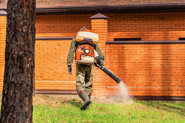 Top rated local Termite Control specialists in Massillon, OH